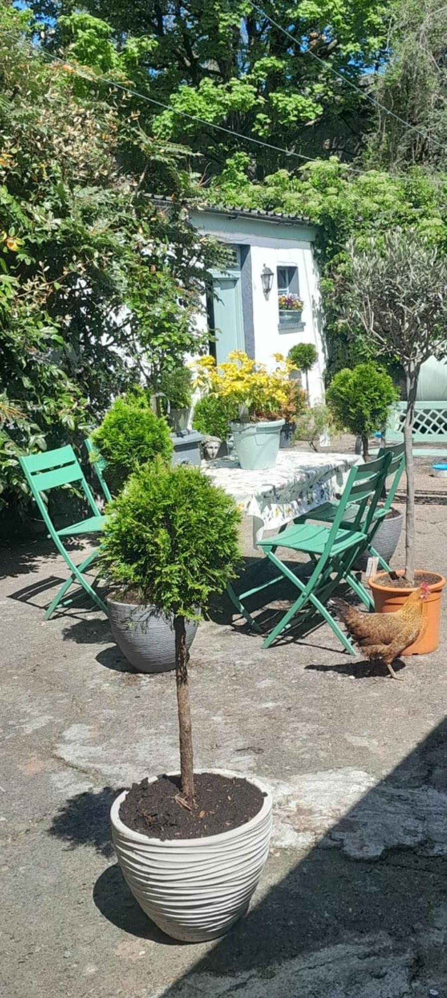 Saint Martin'S Bed And Breakfast แบนดอน ภายนอก รูปภาพ