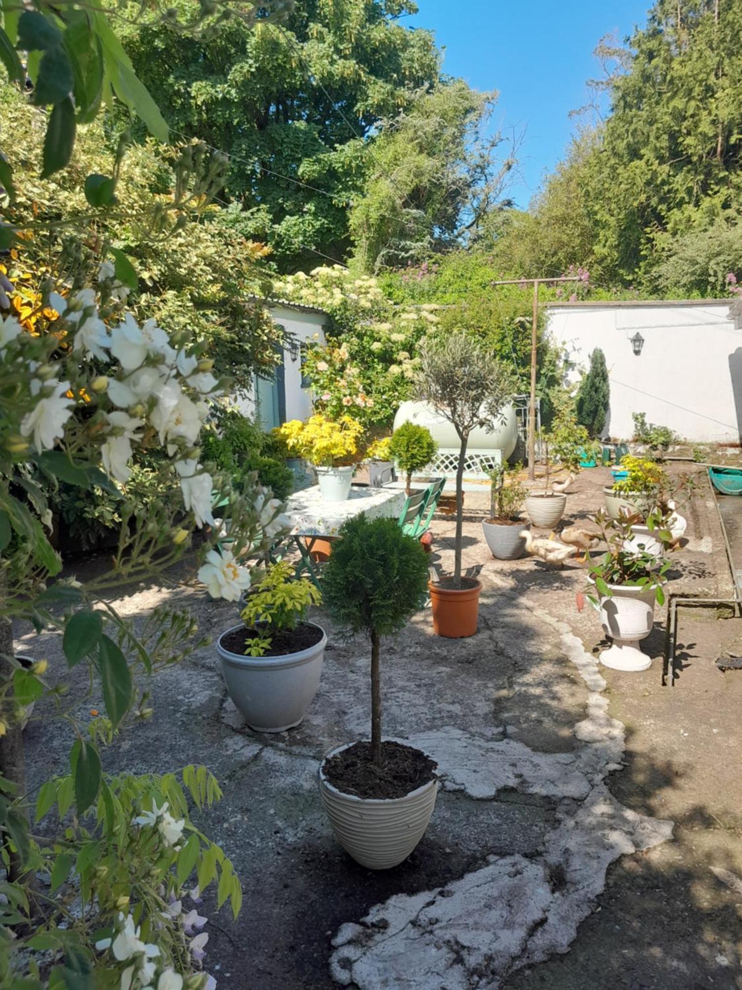 Saint Martin'S Bed And Breakfast แบนดอน ภายนอก รูปภาพ